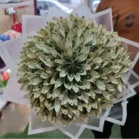 گل رز روبانی|گل مصنوعی|نیشابور, ابراهیمی|دیوار