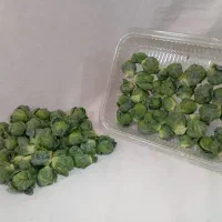 کاهو فرانسوی ریحان ایتالیایی|خوردنی و آشامیدنی|شیراز, جوادیه|دیوار