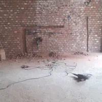 کنده کاری وتخریب