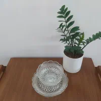 کاسه  و بشقاب بزرگ