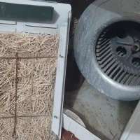کلر آبی 2800 خشک خشک