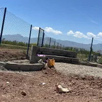 فروش یه قطعه باغ به مساحت ۵۰۰ متر با ۱۵ دقیقه آب|فروش زمین و ملک کلنگی|مرند, |دیوار