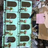 جا کلیدی و آینه|آینه|سنندج, |دیوار