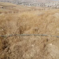 زمین خام کشاورزی پشت پارک جنگلی هوازو|فروش زمین و ملک کلنگی|سارال, |دیوار