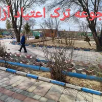 کمپ ترک اعتیاد آزادی تمایلی اجباری شهریه مناسب