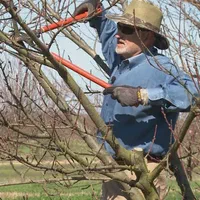 باغبان،باغبانی حرفه ای