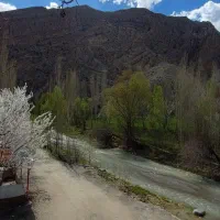 تور یکروزه دربادام،تلاقی کوه،جنگل،رودخانه