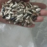 فروش تخمه ریز مخصوص انواع طوطی و پرنده