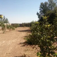 زمین باغی پر کاربردبا موقعیت عالی|فروش خانه و ویلا|شیراز, انجیره|دیوار