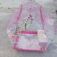 قفس|لوازم جانبی حیوانات|مرند, |دیوار