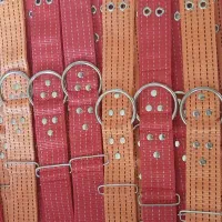 زنجیر|لوازم جانبی حیوانات|مسجد سلیمان, |دیوار