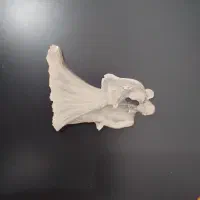 گردنبند شب خواب دستبند و...|بدلیجات|هرسین, |دیوار