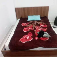 تخت دونفره نو باتشک طبی فنری