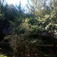 باغ فنس کش بامتیازات آب وبرق