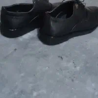 گفش دامادی نو|کیف، کفش، کمربند|گرگان, |دیوار