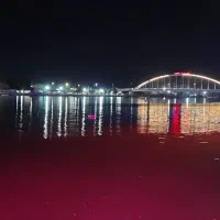 آموزش رایگان