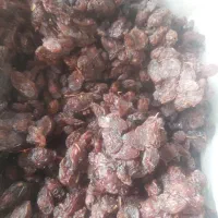 کشمش افتابی سایه خشک مویز شیره خرما انگور شانی|خوردنی و آشامیدنی|تهران, میدان میوه و ترهبار مرکزی|دیوار