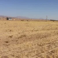 زمین 4000 متری سند دار قزوین|فروش زمین و ملک کلنگی|قزوین, |دیوار