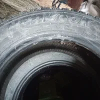 لاستیک برفی|فعالیت داوطلبانه|سیلوانه, |دیوار