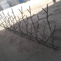 تولیدکننده حفاظ شاخ گوزنی،فروش نرده آبشاری|خدمات پیشه و مهارت|تهران, شادآباد|دیوار