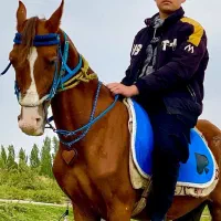 وسایل کامل اسب سواری