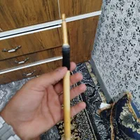 نی سالم خوش صدا