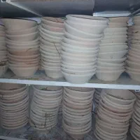 کفتر آبخوری سفالی|پرنده|قم, هفت تیر|دیوار