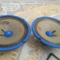 ظبت gold sky و دو عدد میدرنج ۸ اینچ