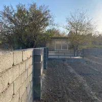 زمینه کشاورزی زیر کشت زعفران(قیمت توافقی)|فروش زمین و ملک کلنگی|نیاسر, |دیوار