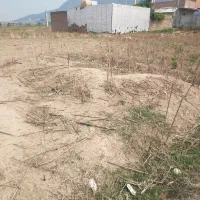 فروش زمین گالیکش محموداباد