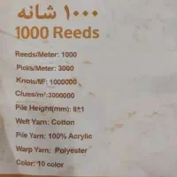 دوعدد فرش ۱۲ متری|فرش|رشت, حمیدیان|دیوار