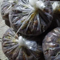 خرماخاصویی درجه یک کیلویی300