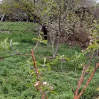 سالن
