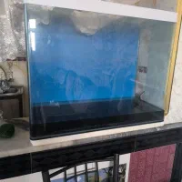 آکواریم بزرگ