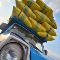 باسلام|حراج|هشترود, |دیوار