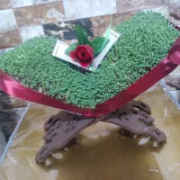 انواع سبزه طبیعی ومصنوعی|خدمات پذیرایی، مراسم|بروجرد, |دیوار