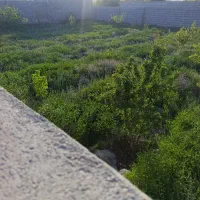 500متر دور دیوار