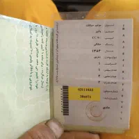 موتور پیشرو ۷۰ سی سی