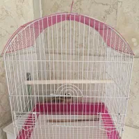 قفس پرنده عروس هلندی معاوضه شاهدونه سهره