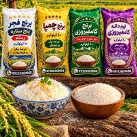 برنج محلی چمپا فجر 149 کالابرگ