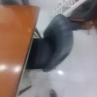 میزوصندلی|میز و صندلی غذاخوری|سجاس رود, |دیوار