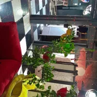 کار در کافه