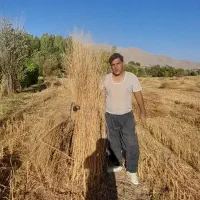 جارو شهرداری ۵جریب اماده|لوازم نظافت|نهاوند, |دیوار