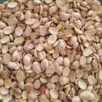 لوبیا لپه چیتی