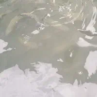 ماهی قزل آلا رستورانی