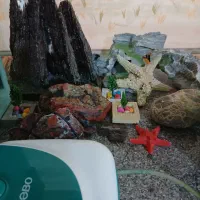 آکواریماهی سنگ صخره چوبآبنوس صدف شن سبزه تجهیزات