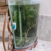 فروش و معاوضه آکواریم شیشه خم