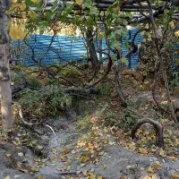 ویلا باغ ۱۰۰قصب گلباف ۵خوابه|فروش خانه و ویلا|گلباف, |دیوار