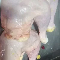 ران مرغ تازه|خوردنی و آشامیدنی|خواف, |دیوار