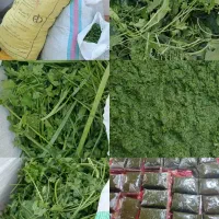 سبزی خورشتی آبپز شده رامهرمز|خوردنی و آشامیدنی|لنجان, |دیوار